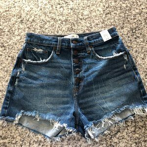 Abercrombie & Fitch High Rise Mom Shorts Size 27/4